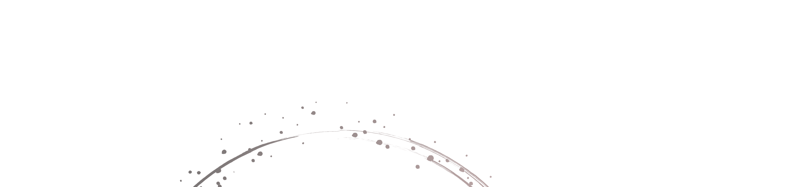 gruppentraining, junghunde, junghund, leinenführigkeit, Rückruf